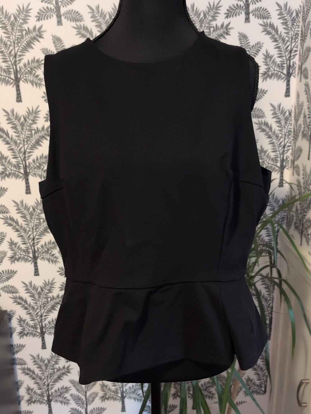 Express Black Sleeveless Peplum Top